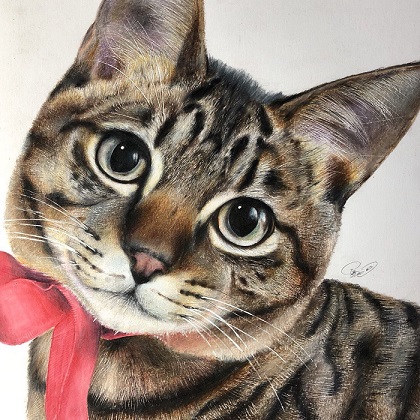 色鉛筆で描いた猫さん