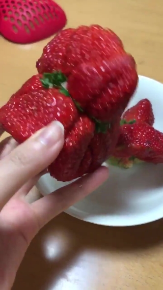 苺 合体 クリーチャー