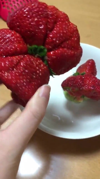 苺 合体 クリーチャー