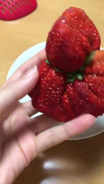 苺 合体 クリーチャー