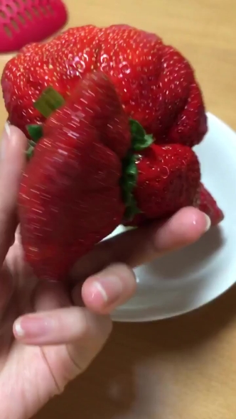 苺 合体 クリーチャー