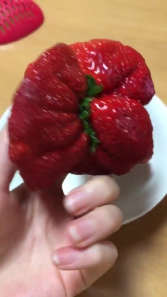 苺 合体 クリーチャー