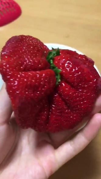 苺 合体 クリーチャー