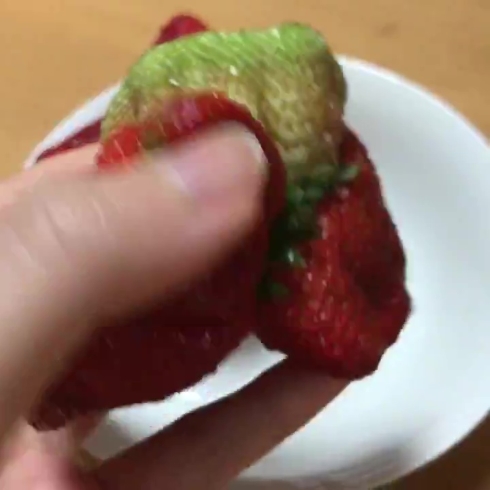 苺 合体 クリーチャー