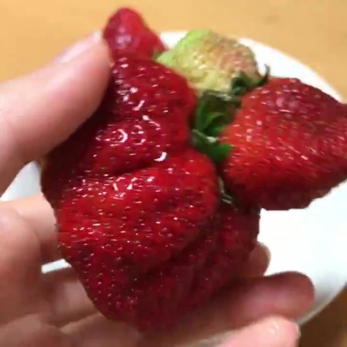 苺 合体 クリーチャー