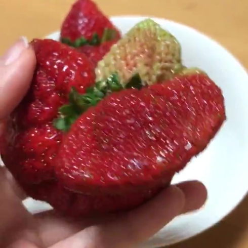 苺 合体 クリーチャー