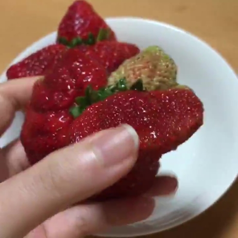 苺 合体 クリーチャー