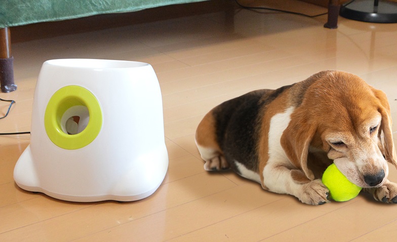これはワンコ大喜び 飼い主がいなくてもエンドレスにボール遊び
