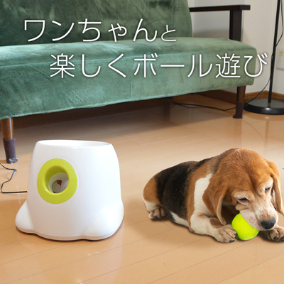 ヘレンド【大人の動物園】ボールで遊ぶ犬 ヘレンド【大人の動物園】ボールで遊ぶ犬 ヘレンド【大人の