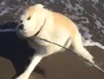 立っている藤くん