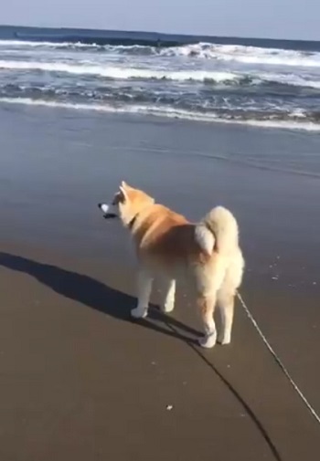 立っている藤くん