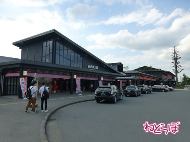 西武鉄道 新型特急 Laview ラビュー 2019年春ダイヤ改正