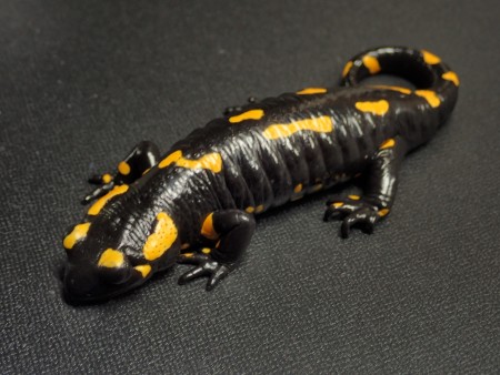 しな水の危険ないきもの大集合