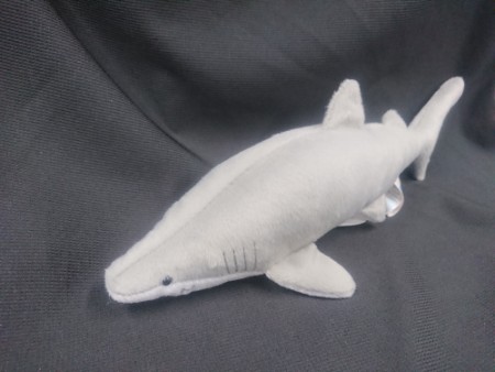 しな水の危険ないきもの大集合