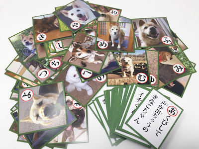 保護犬のわんこ かるた