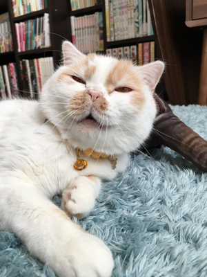 目を細めるホイちゃん