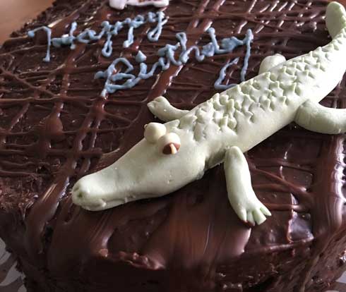 誕生日 母 ケーキ くるみタルト 設計図 イラスト Undertale アンダーテール 手作り