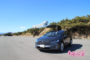 EV 市販車 2019