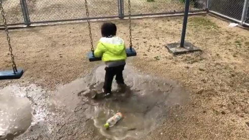 いろいろ諦めた