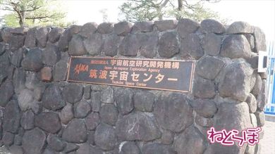 小田急 代々木八幡駅 リニューアル 島式ホーム 複々線