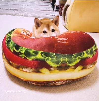 ハンバーガーに埋もれる