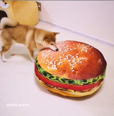 わんこバーガー