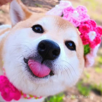 桜の王冠首飾り