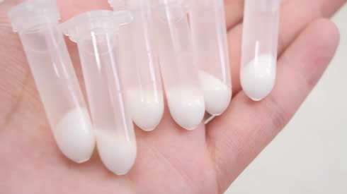 パン 包丁 硬い グルテンフリー YouTube 圧倒的不審者