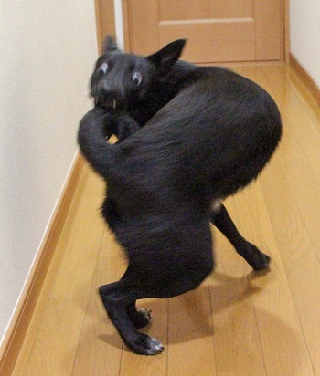 洗った後
