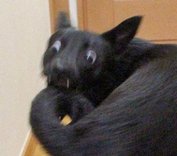 洗った後