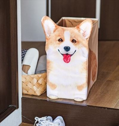 コーギー収納ボックス