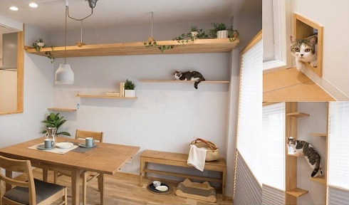 マイリノペットforねこ