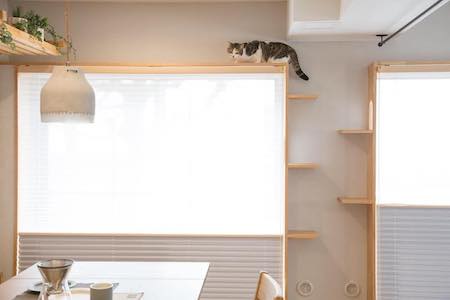 マイリノペットforねこ