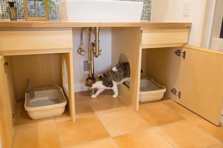 マイリノペットforねこ