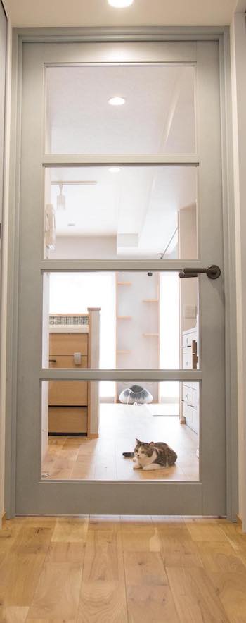 マイリノペットforねこ