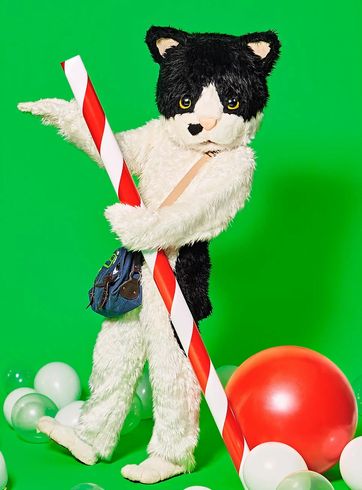 むぎ（猫）　メジャー　デビュー