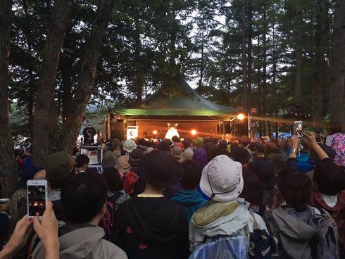 むぎ（猫）　メジャー　デビュー