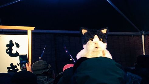 むぎ（猫）　メジャー　デビュー