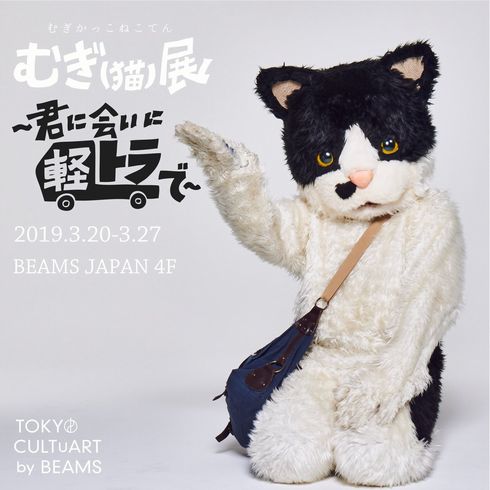 むぎ（猫）　メジャー　デビュー