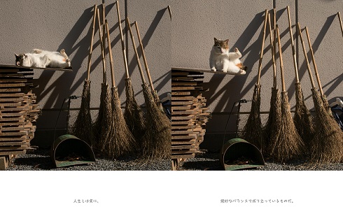 明日はきっとうまくいく