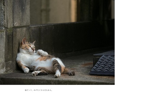 明日はきっとうまくいく