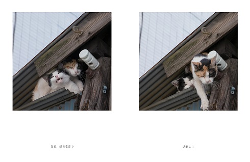 明日はきっとうまくいく