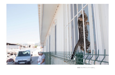 明日はきっとうまくいく