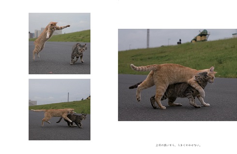 明日はきっとうまくいく