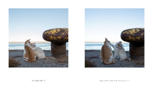 明日はきっとうまくいく