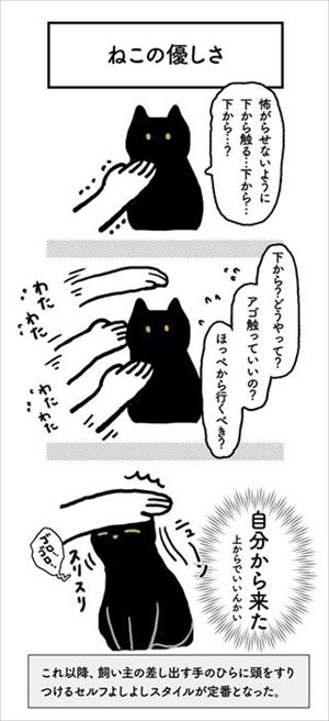 はじめてのなでなで