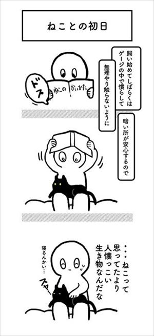 はじめてのなでなで