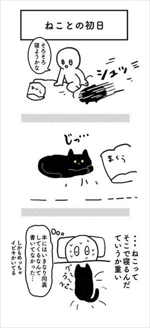 はじめてのなでなで