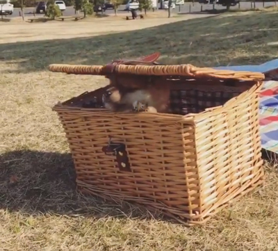 帰っていく途中