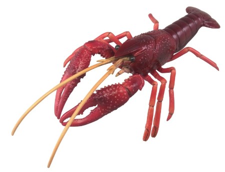 みずべのなかま